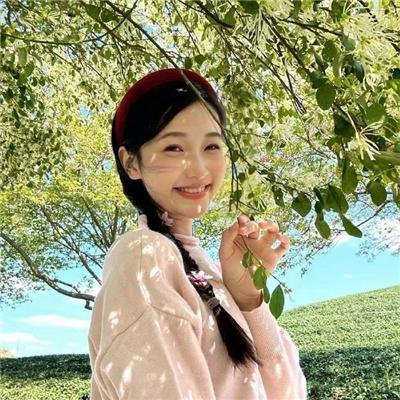 鸟儿们的奇幻冒险